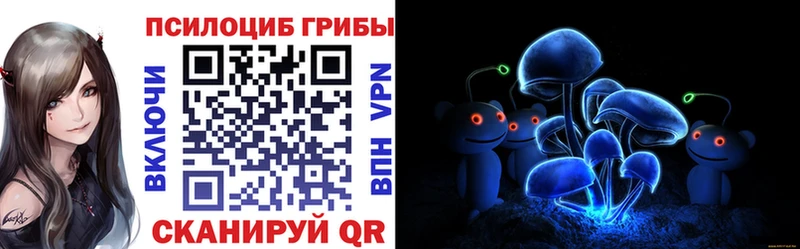 Галлюциногенные грибы Psilocybe  даркнет сайт  Тбилисская 